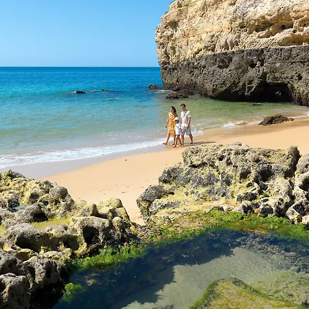 Alba Carvoeiro (Lagoa)